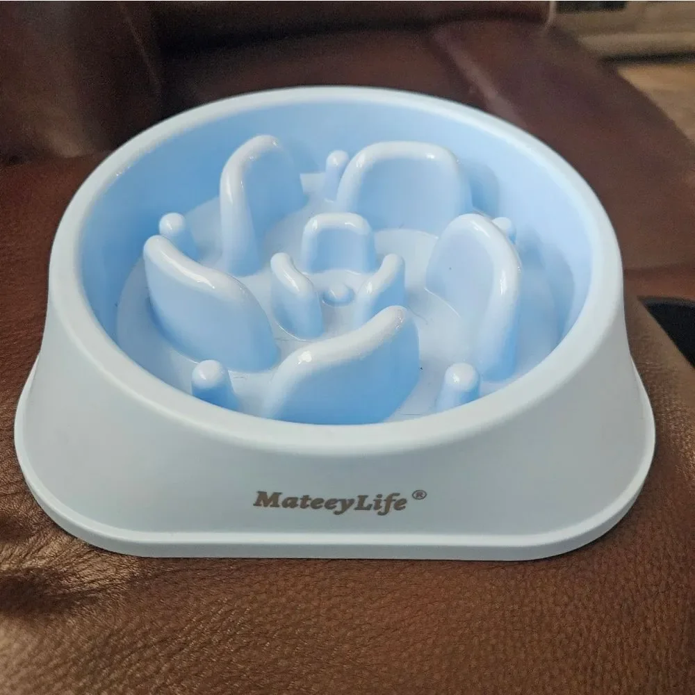 Matey Slow feeder dog dish